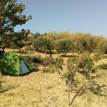 Pergole Hotel Реалмонте Екстериор снимка